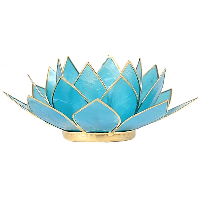 Windlicht Lotus hellblau goldfarben Capiz Muschelkalk